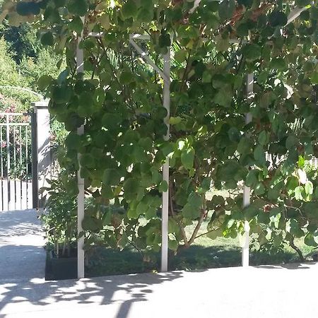 Apartment Villa Dobrijevic -Seljanovo Тиват Экстерьер фото